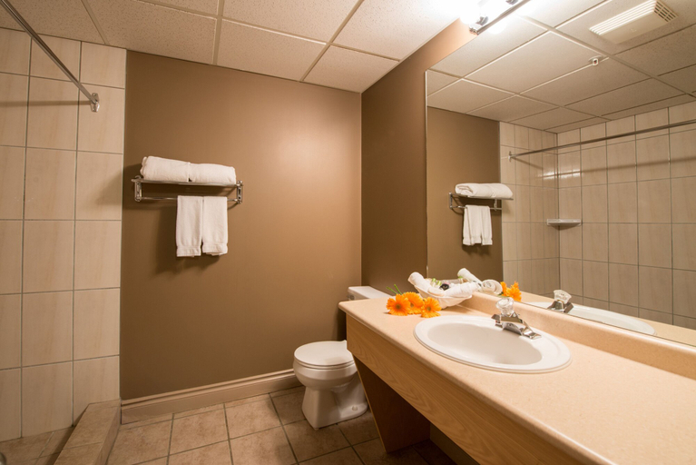 Bathroom 4, Prime Hotel, Division No. 16
