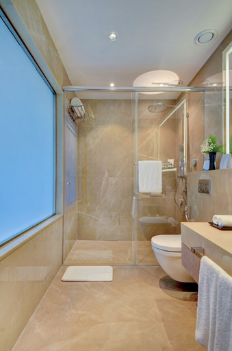Bathroom 4, Vividus, Bangalore