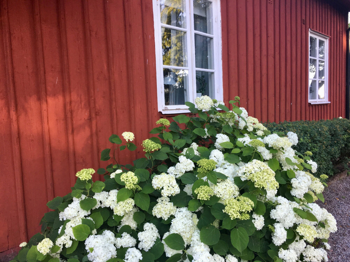 Exterior & Views 2, Brunsbo G:a Biskopsgård Hotell & Konferens, Skara