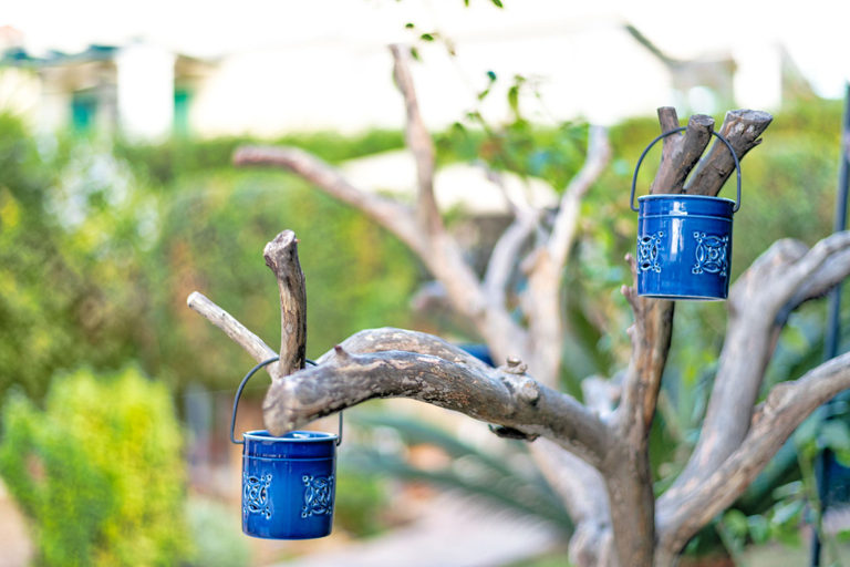 Food & Drinks 4, Elegant Maisonette Garden near Beach, Attica