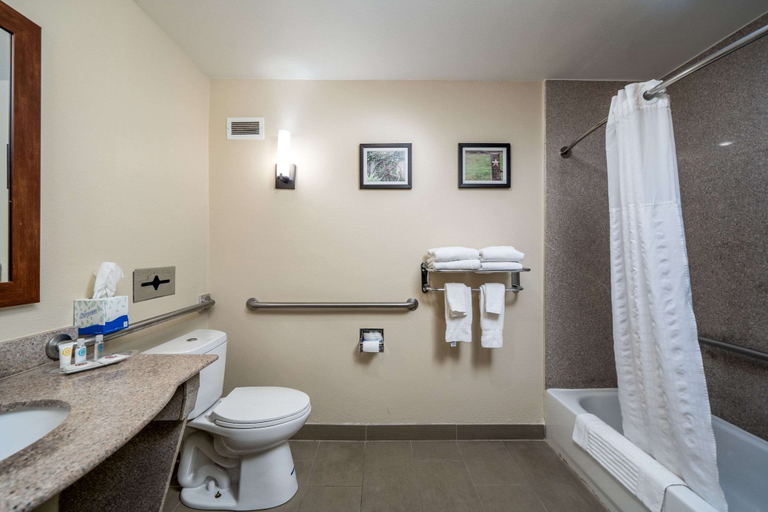 Bathroom 4, Comfort Suites University, Taylor