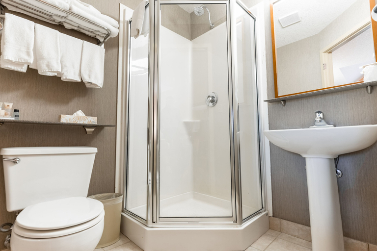 Bathroom 4, Canmore Inn & Suites, Division No. 15