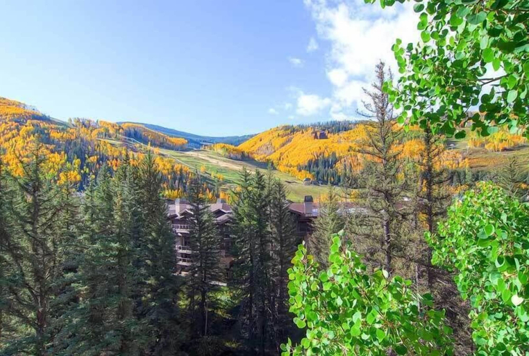 Others 5, The Wren at Vail, Eagle
