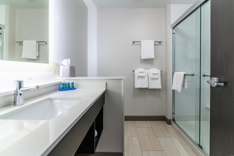 Bathroom 5, Holiday Inn Express & Suites ALLEN PARK by IHG, Wayne