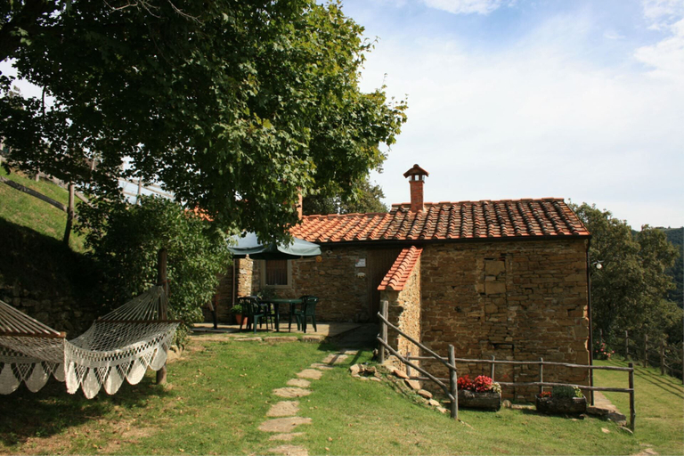 Exterior & Views 2, Tribbiano, Arezzo