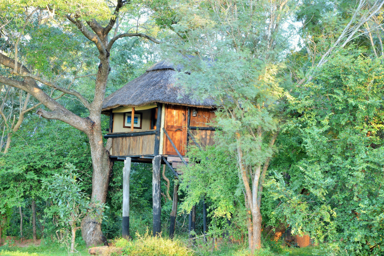 Others 4, Ivory Lodge, Hwange