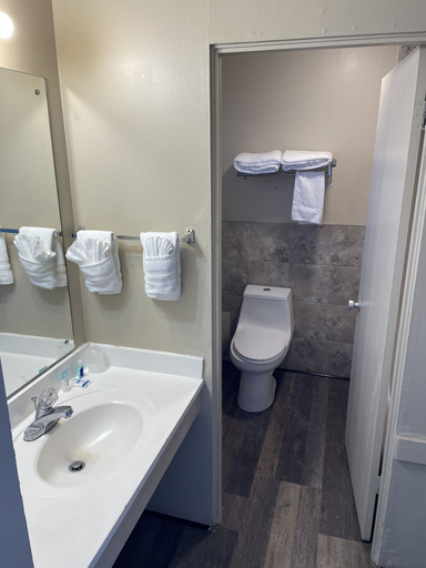 Bathroom 4, Motel Oasis, Grant