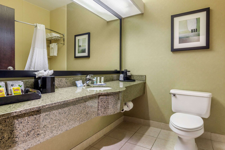 Bathroom 4, Quality Inn & Suites Durant, Bryan