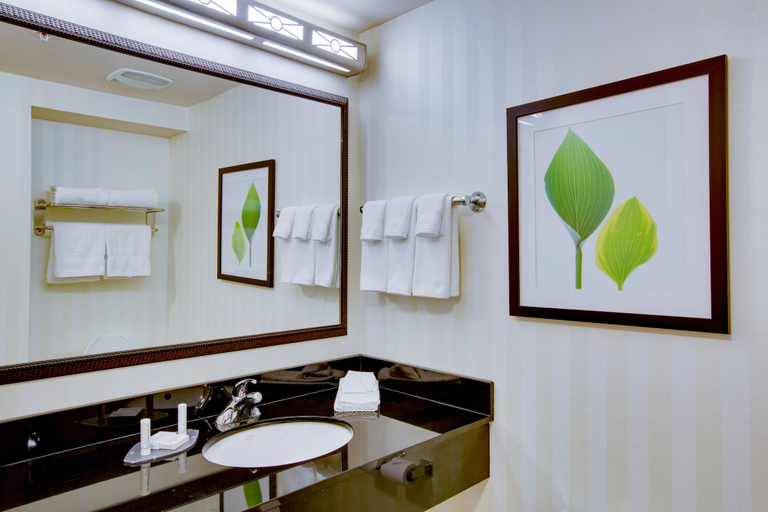 Bathroom 3, Fairfield by Marriott Inn & Suites Melbourne West/Palm Bay, Brevard
