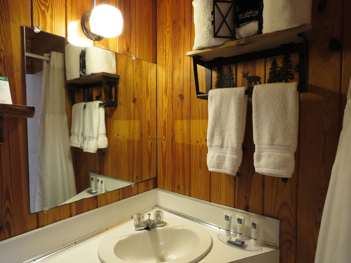 Bathroom 3, Tall Pines Inn, Carroll