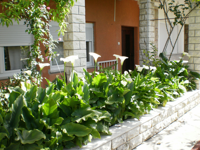 Exterior & Views 2, Apartmani Marija, Split