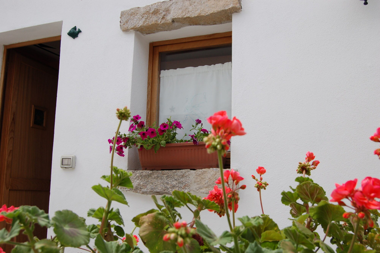 Exterior & Views 2, Domus Olbia Inn, Olbia-Tempio