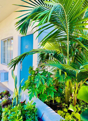 Exterior & Views 2, Villa Serena, San Diego