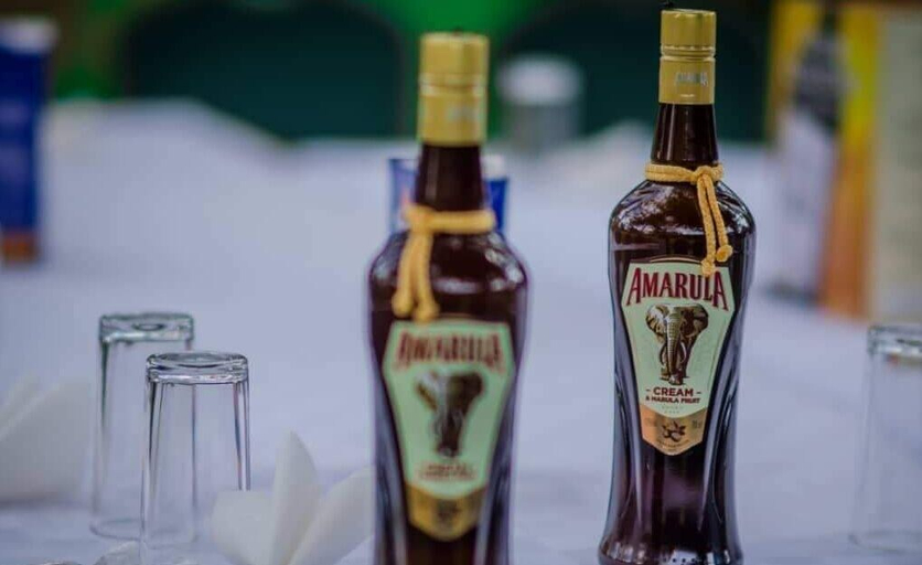 Food & Drinks 5, Anina's Executive Lodge, Lusaka