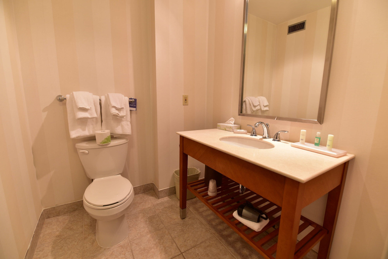 Bathroom 4, Quality Inn and Conference Centre, Renfrew