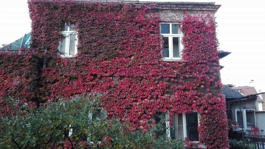 Exterior & Views 2, Hotel Favorit, Stolichna
