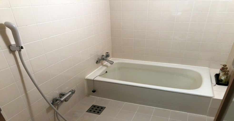Bathroom 5, NAGARAGAWA SEIRYU HOTEL, Gifu