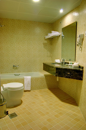 Bathroom 5, Aryana Hotel, Sharjah City