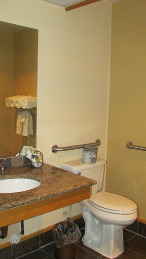 Bathroom 4, Spearfish Canyon Lodge, Lawrence