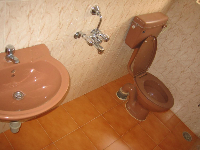 Bathroom, Ferreira Resort, Pune