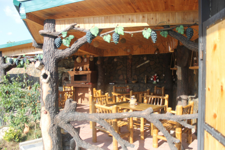 Food & Drinks 4, Villa Edemi, Tskaltubo