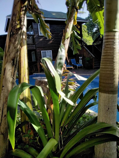 Exterior & Views 2, Blue Bahia Resort, Roatán