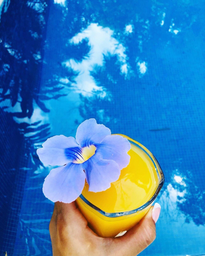 Food & Drinks 5, Hotel Colibri, Aguirre