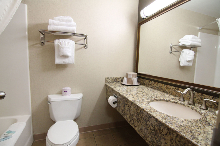 Bathroom 4, C'mon Inn Billings, Yellowstone