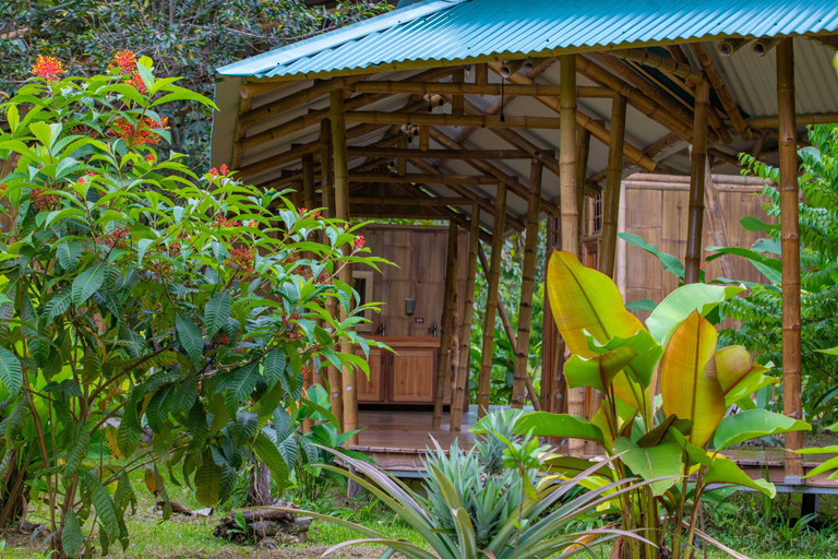 Others 4, La Cotinga Biological Station, Osa