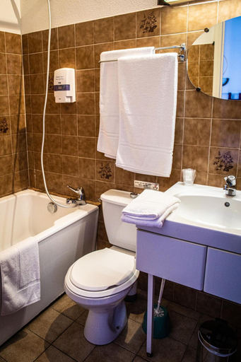 Bathroom 5, Hôtel Restaurant Le Foirail, Haute-Loire