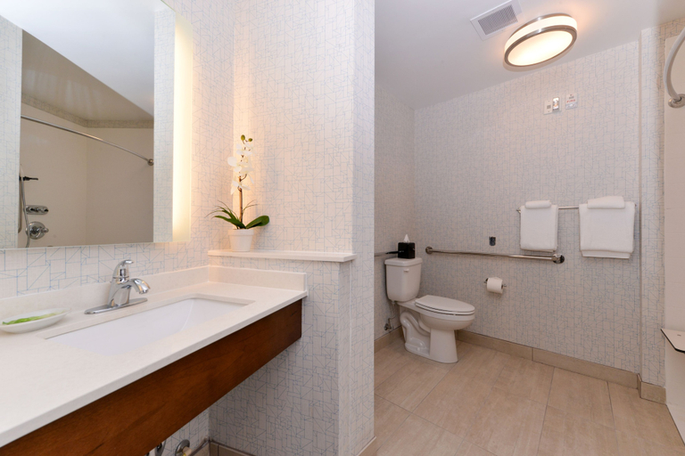 Bathroom 5, Holiday Inn Express & Suites TRINITY by IHG, Pasco