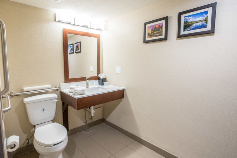 Bathroom 4, Comfort Inn & Suites Pinetop Show Low, Navajo