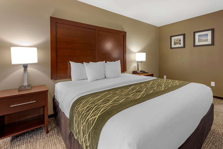 Bedroom 3, Comfort Inn & Suites Pittsburgh South, Allegheny