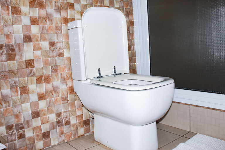 Bathroom 4, Exotic Palace Hotel, Tema