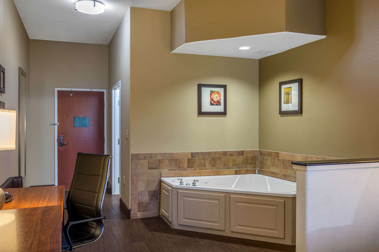 Bathroom 5, Comfort Suites Marshall, Harrison