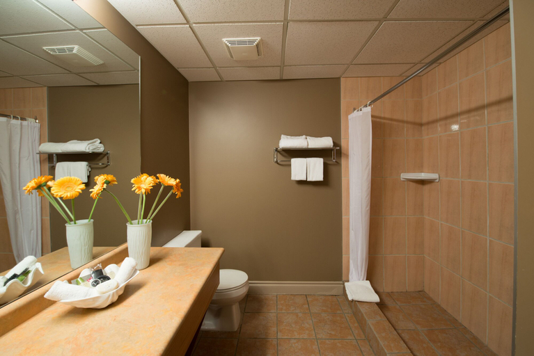 Bathroom 4, Prime Hotel, Division No. 16