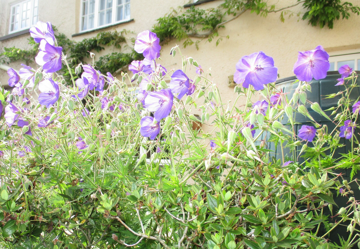 Exterior & Views 2, Brambles Bed and Breakfast, Devon