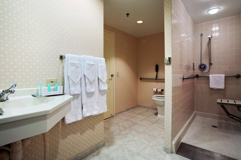 Bathroom 3, Hilton Chicago/Oak Brook Suites, Dupage