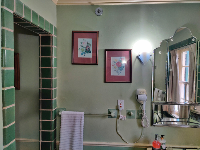 Bathroom 5, Montague Inn, Saginaw