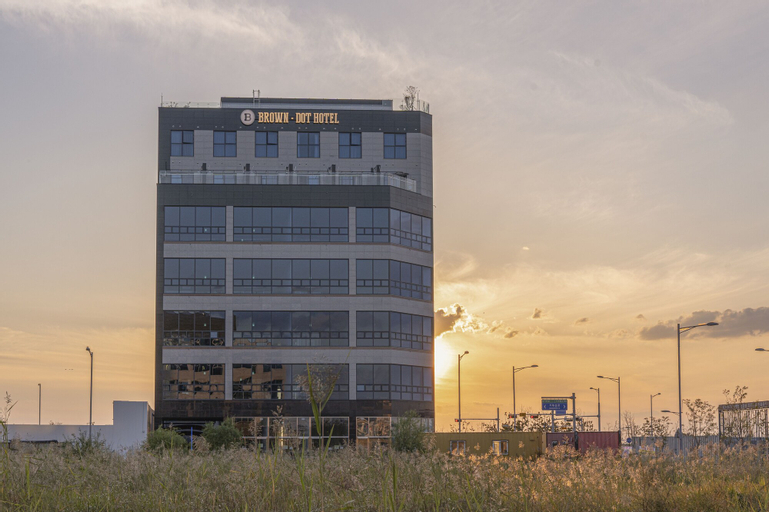 Brown Dot Geobuksum, Ansan