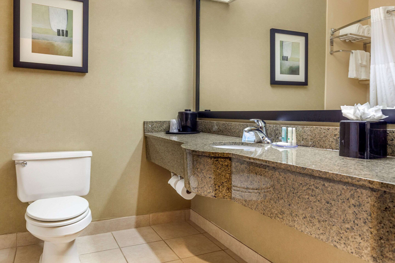 Bathroom 4, Quality Inn & Suites Durant, Bryan