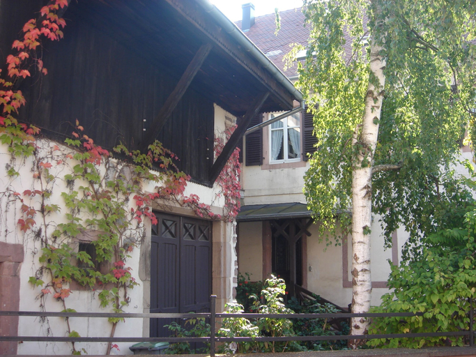 Exterior & Views 2, Ancien Presbytère Albert Schweitzer, Haut-Rhin
