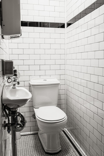 Bathroom 4, Darlo Bar Darlinghurst, Sydney