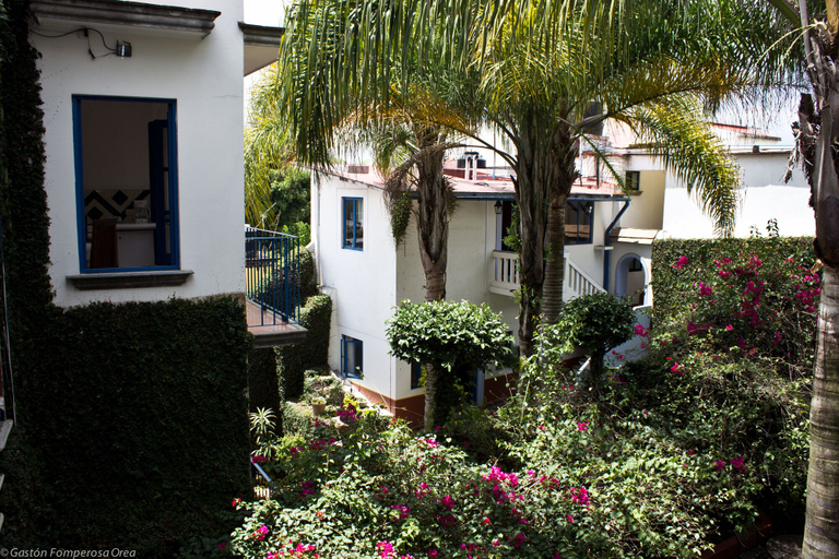 Exterior & Views 2, Posada del Cafeto, Coatepec
