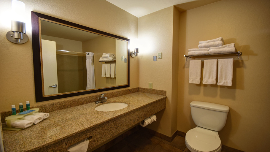 Bathroom 4, Holiday Inn Express & Suites DEL RIO by IHG, Val Verde