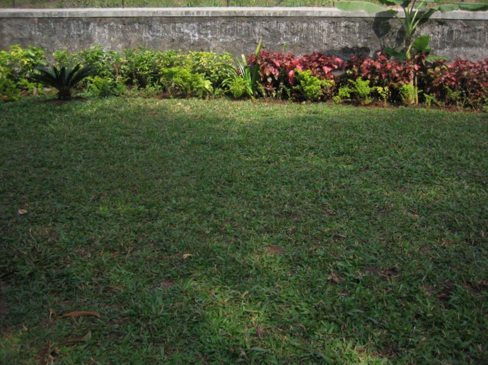 Others 5, Ferreira Resort, Pune