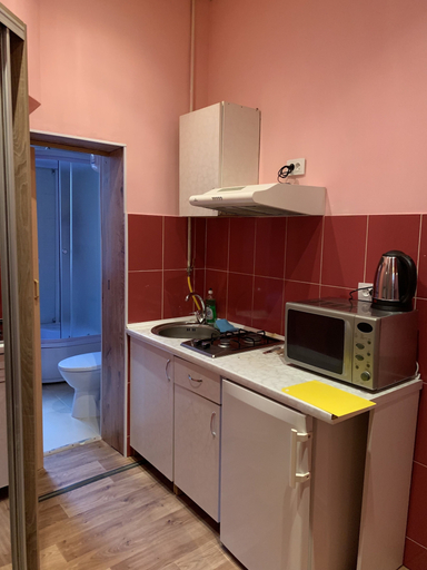 Others 3, Moisha Apartment Kotlyarskaya 5-33, L'vivs'ka