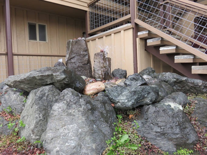 Exterior & Views 5, Olympic View Inn, Clallam