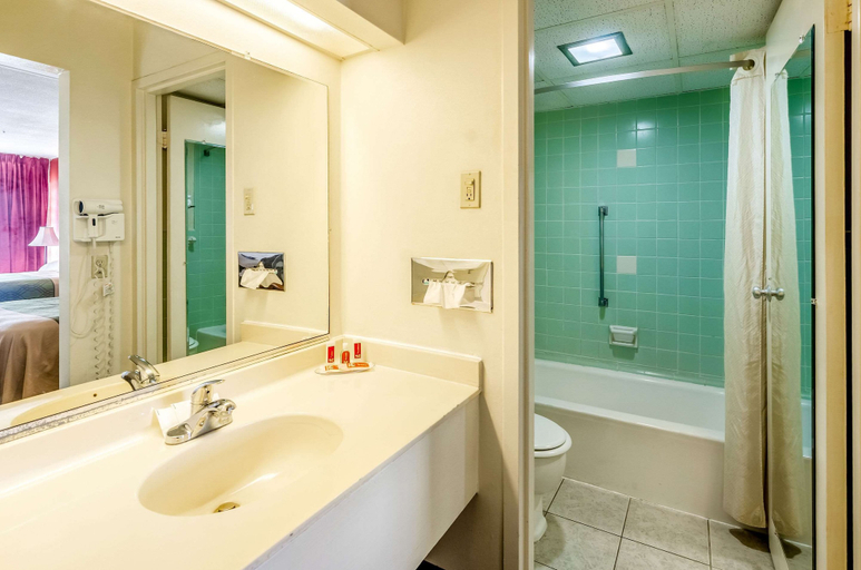 Bathroom, Econo Lodge Martinsville, Henry
