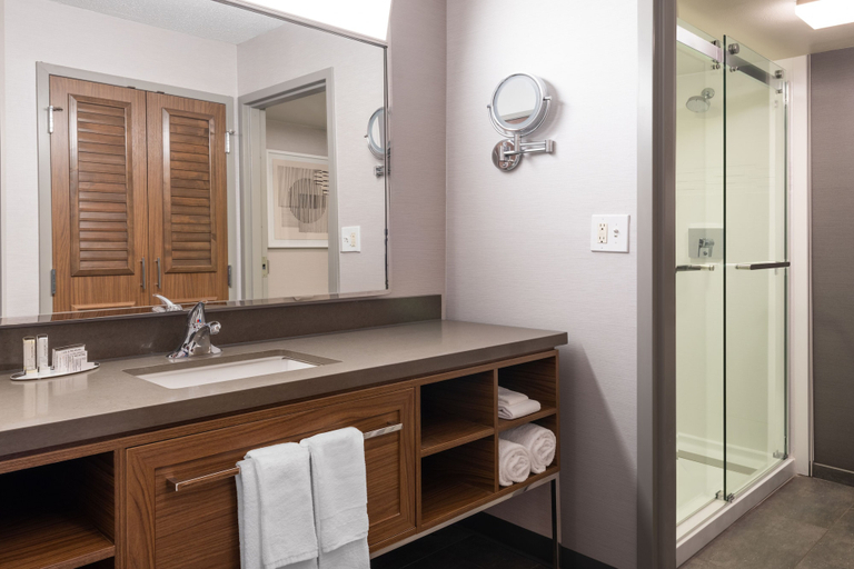 Bathroom 4, Courtyard by Marriott Austin South, Travis